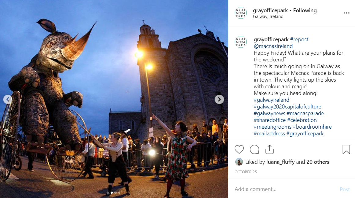 Macnas Ireland - gop insta